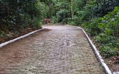 Limpeza da estrada de acesso a rampa
