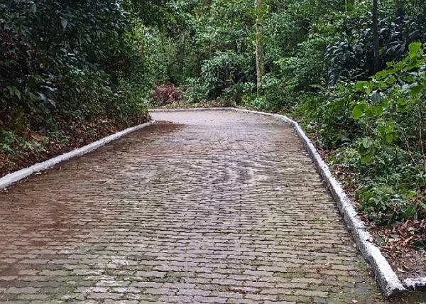 Limpeza da estrada de acesso a rampa