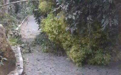 Desobstrução da estrada de acesso a rampa