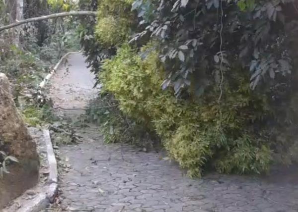 Desobstrução da estrada de acesso a rampa