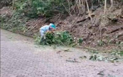 Limpeza da Estrada da Rampa da Pedra Bonita