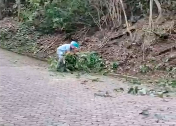 Limpeza da Estrada da Rampa da Pedra Bonita