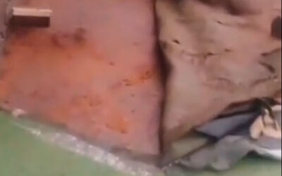 Obras e Manutenções: aplicação de contrapiso e recolocação de grama sintética