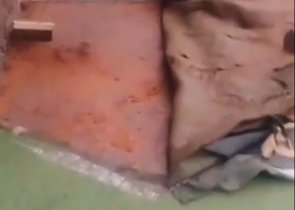 Obras e Manutenções: aplicação de contrapiso e recolocação de grama sintética