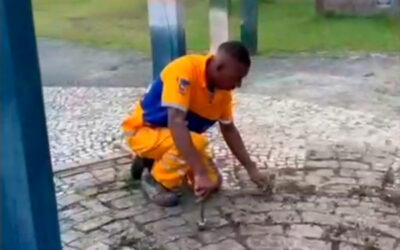 Continuidade dos trabalhos de conservação das calçadas do CSCVL