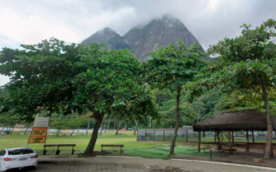 Poda de árvores na sede do CSCVL
