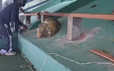 Melhorias na rampa de parapente