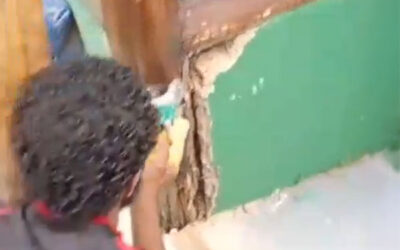 Revitalização da sede do CSCVL