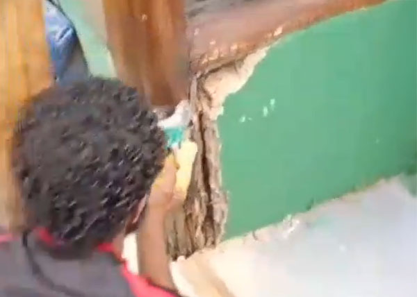 Revitalização da sede do CSCVL