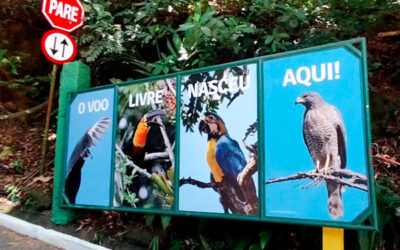 Renovação dos adesivos do portão