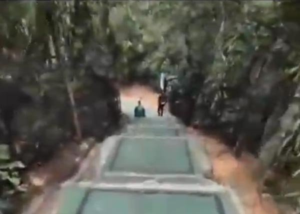 Tarefas de 19 de janeiro de 2026, concluídas com êxito.