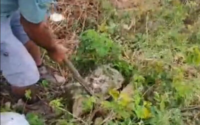 Retirada de rochas pontiagudas da área de decolagem