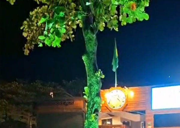 Iluminação das amendoeiras da sede do CSCVL