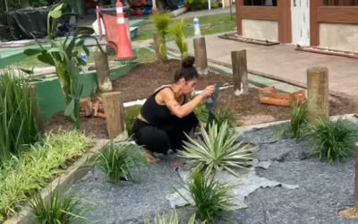 Continuação de trabalhos nos jardins do CSCVL