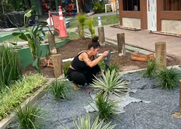 Continuação de trabalhos nos jardins do CSCVL