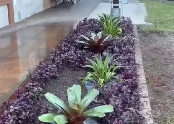 Projeto paisagístico dos novos jardins do CSCVL